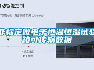 知識百科非標定做電子恒溫恒濕試驗箱可傳輸數據