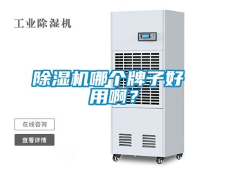 行業(yè)新聞除濕機哪個牌子好 用啊？