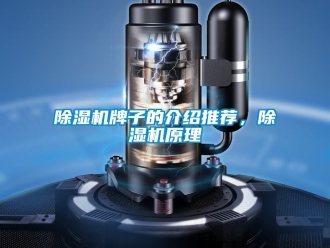 行業新聞除濕機牌子的介紹推薦，除濕機原理