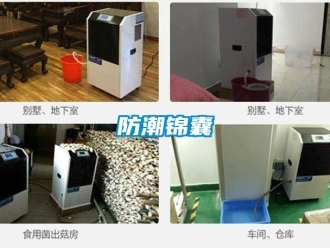 常見問題防潮錦囊