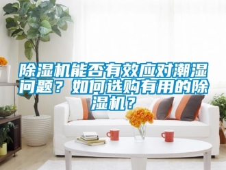 行業新聞除濕機能否有效應對潮濕問題？如何選購有用的除濕機？