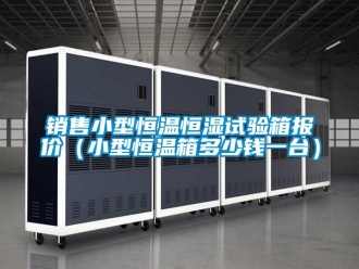 知識百科銷售小型恒溫恒濕試驗箱報價（小型恒溫箱多少錢一臺）