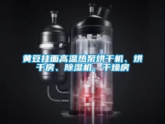 行業新聞黃豆掛面高溫熱泵烘干機、烘干房、除濕機、干燥房