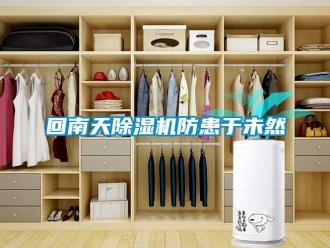行業新聞回南天除濕機防患于未然