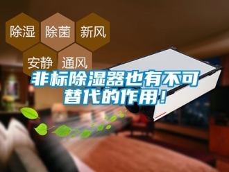 行業(yè)新聞非標(biāo)除濕器也有不可替代的作用！