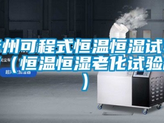 知識百科青州可程式恒溫恒濕試驗箱（恒溫恒濕老化試驗箱）