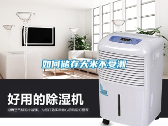 常見問題如何儲存大米不受潮