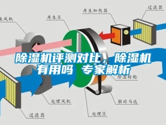行業(yè)新聞除濕機評測對比，除濕機有用嗎 專家解析