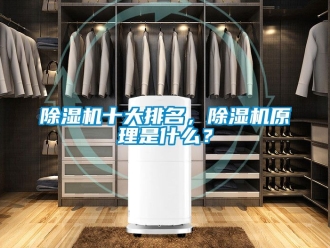 行業(yè)新聞除濕機十大排名，除濕機原理是什么？