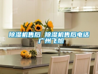 行業(yè)新聞除濕機(jī)售后 除濕機(jī)售后電話 廣州飛旭
