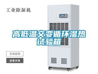 常見問題高低溫交變循環濕熱試驗箱