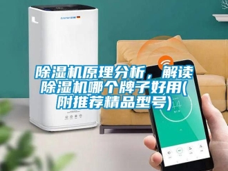 行業新聞除濕機原理分析，解讀除濕機哪個牌子好用(附推薦精品型號)