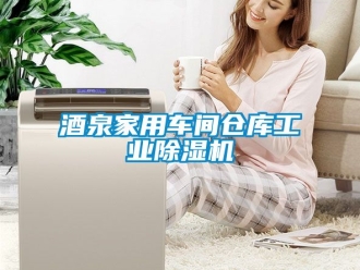 常見問題酒泉家用車間倉庫工業除濕機