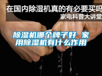 常見問題除濕機哪個牌子好 家用除濕機有什么作用