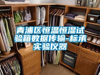 知識百科青浦區恒溫恒濕試驗箱數據傳輸-標承實驗儀器