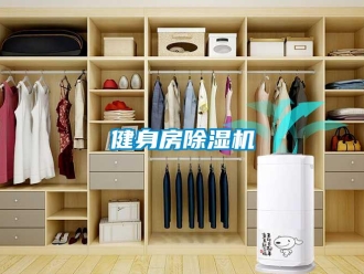 行業(yè)新聞健身房除濕機(jī)