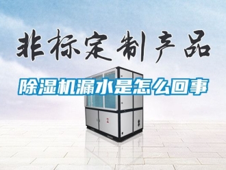 行業新聞除濕機漏水是怎么回事