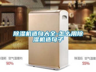 行業(yè)新聞除濕機(jī)造句大全-怎么用除濕機(jī)造句子