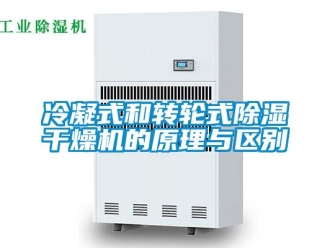 行業(yè)新聞冷凝式和轉(zhuǎn)輪式除濕干燥機(jī)的原理與區(qū)別