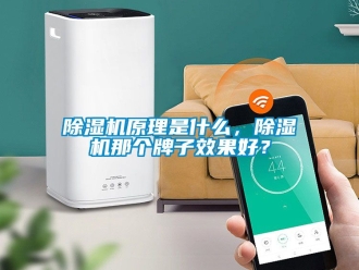 行業新聞除濕機原理是什么，除濕機那個牌子效果好？