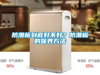 常見問題防潮板到底好不好？防潮板的保養方法