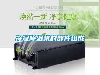 行業(yè)新聞冷凝除濕機(jī)的部件組成
