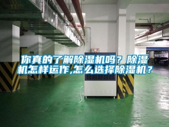 常見問題你真的了解除濕機嗎？除濕機怎樣運作,怎么選擇除濕機？