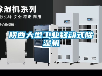 常見問題陜西大型工業(yè)移動式除濕機