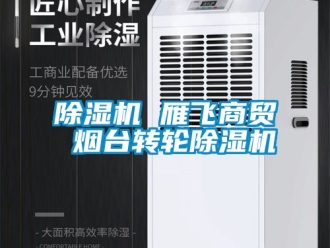 常見問題除濕機 雁飛商貿(mào) 煙臺轉(zhuǎn)輪除濕機