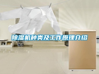 行業(yè)新聞除濕機(jī)種類及工作原理介紹