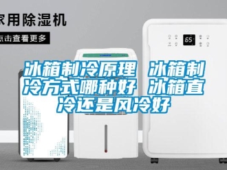 常見問題冰箱制冷原理 冰箱制冷方式哪種好 冰箱直冷還是風(fēng)冷好