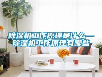 行業新聞除濕機工作原理是什么—除濕機工作原理有哪些