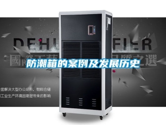 常見問題防潮箱的案例及發展歷史