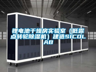 常見問題鋰電池干燥房實驗室（低露點轉輪除濕機）建造SICOLAB