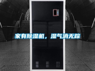 行業新聞家有除濕機，濕氣消無蹤