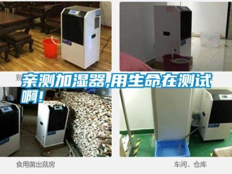 行業(yè)新聞?dòng)H測(cè)加濕器,用生命在測(cè)試啊!