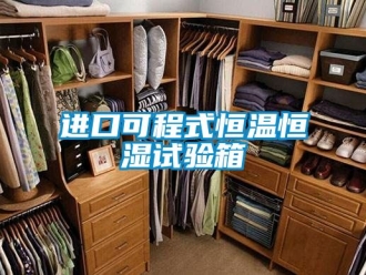 知識百科進口可程式恒溫恒濕試驗箱