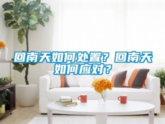 常見問題回南天如何處置？回南天如何應對？