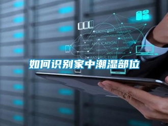 常見問題如何識別家中潮濕部位