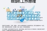 誰才是梅雨季衣物的“干爽之友”？四款除濕機干衣對比橫評—萬維家電網(wǎng)