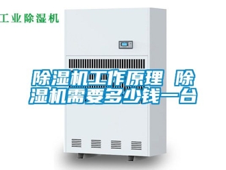 行業(yè)新聞除濕機(jī)工作原理 除濕機(jī)需要多少錢一臺(tái)