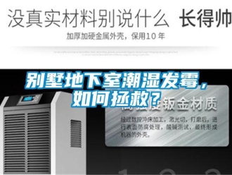 常見問題別墅地下室潮濕發霉，如何拯救？