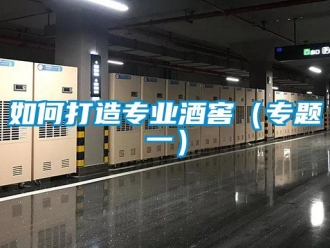 常見問題如何打造專業酒窖（專題一）