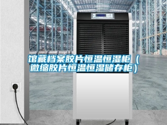 知識百科館藏檔案膠片恒溫恒濕柜（微縮膠片恒溫恒濕儲存柜）