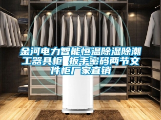 知識百科金河電力智能恒溫除濕除潮工器具柜 扳手密碼兩節(jié)文件柜廠家直銷