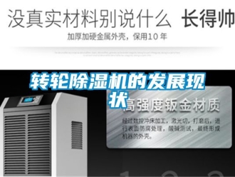 常見問題轉(zhuǎn)輪除濕機(jī)的發(fā)展現(xiàn)狀
