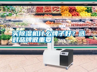 行業新聞買除濕機什么牌子好？選對品牌很重要