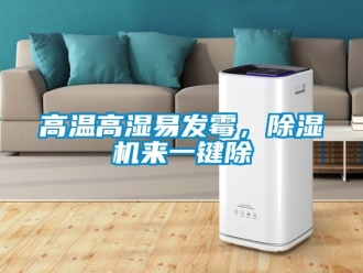 行業新聞高溫高濕易發霉，除濕機來一鍵除