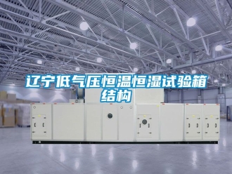 知識百科遼寧低氣壓恒溫恒濕試驗箱結構