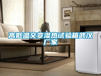 常見問題高低溫交變濕熱試驗箱武漢廠家